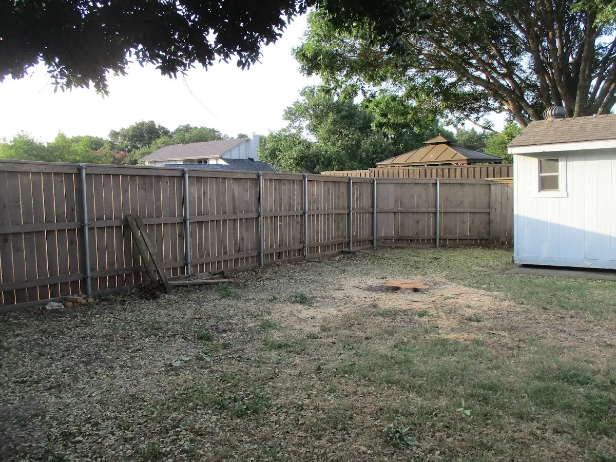 Cleared yard after professional tree removal in West Topsham